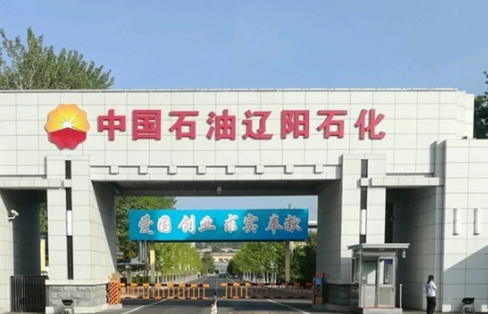 最准36码必中大包围
