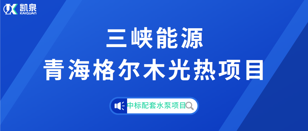 最准36码必中大包围