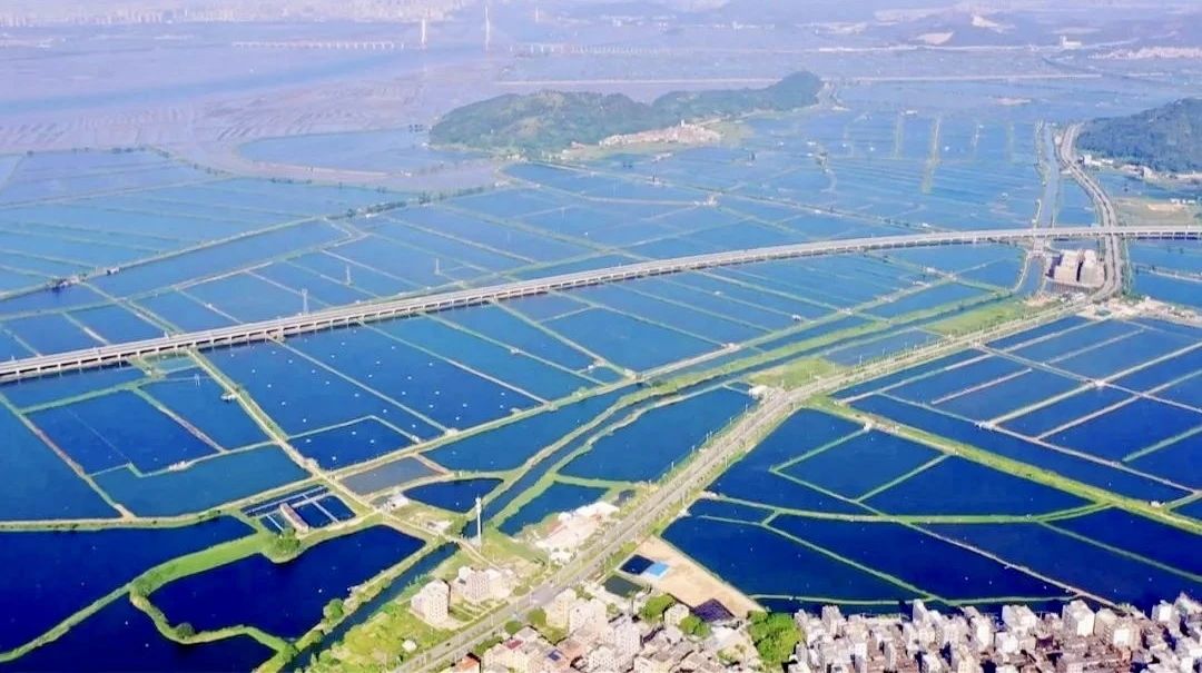 最准36码必中大包围